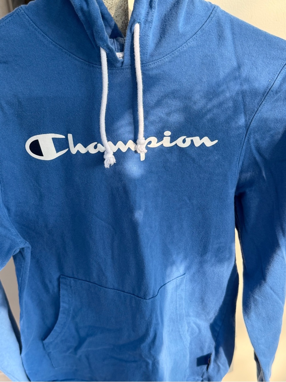 Champion Blue Crewneck Hoodie with White Logo